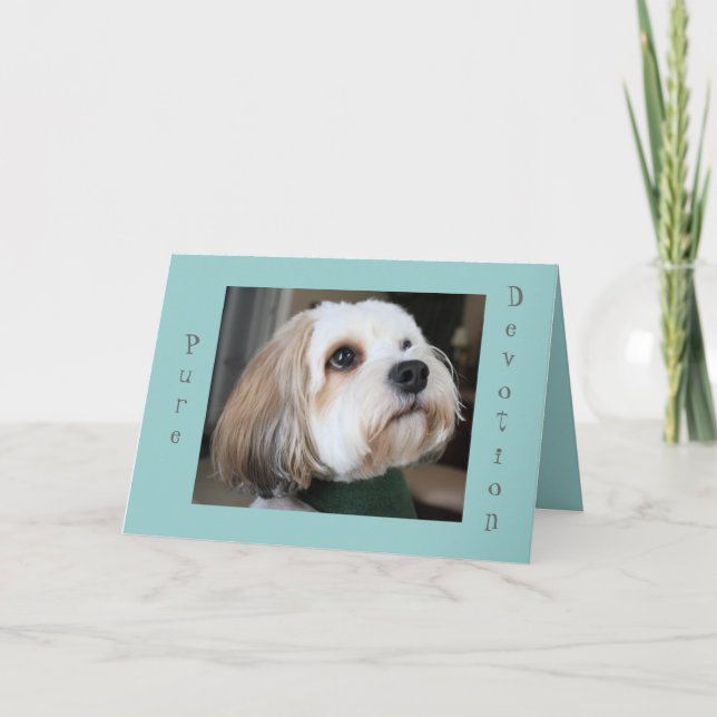 Cartão Pure Devotion card (Frente)