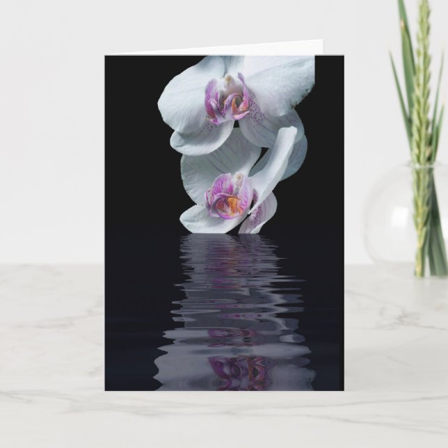 Cartão Pureza (Frente)