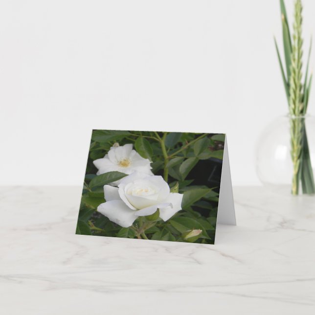 Cartão Pureza e Paz... (Frente)