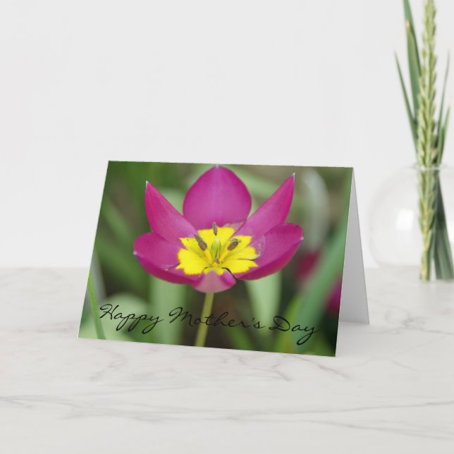 Cartão Purple and Yellow Flower Mother's Day Card (Frente)