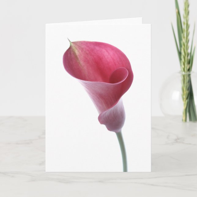 Cartão Purple Calla Lily Card (Frente)