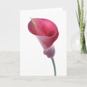 Cartão Purple Calla Lily Card