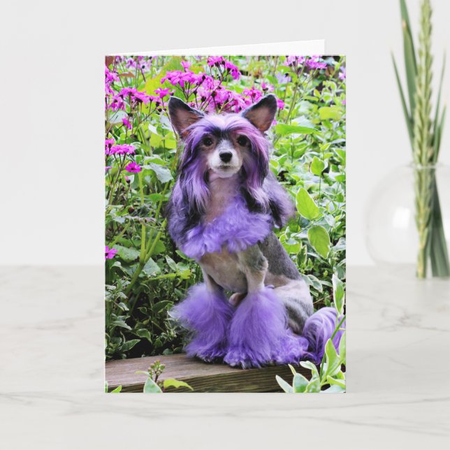 Cartão Purple Chinese Crested Dog in Pink Flowers (Frente)