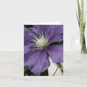 Cartão Purple Clematis Card
