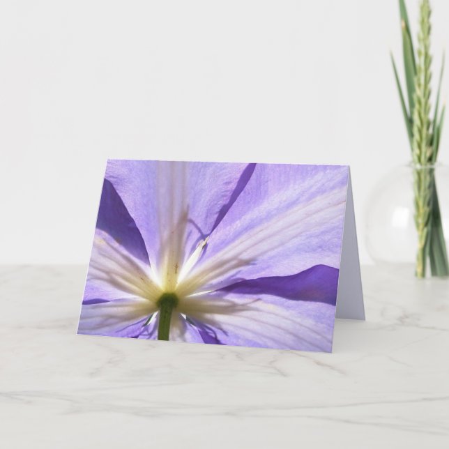 Cartão Purple clematis - Sympathy card (Frente)