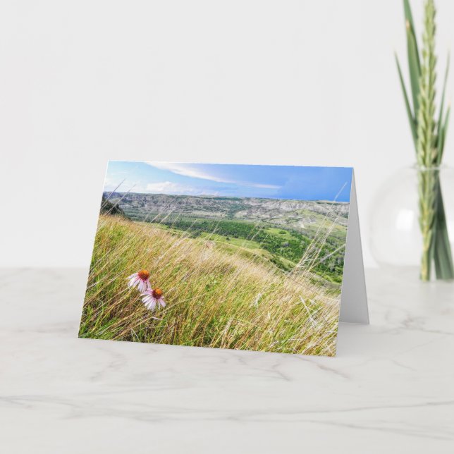 Cartão Purple Cone Flower with a View Note Card (Frente)