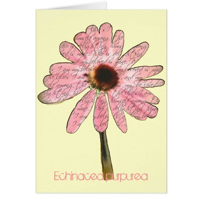 Cartão Purple ConeFlower Echinacea (Frente)