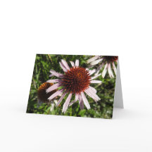Purple Coneflower Notecard
