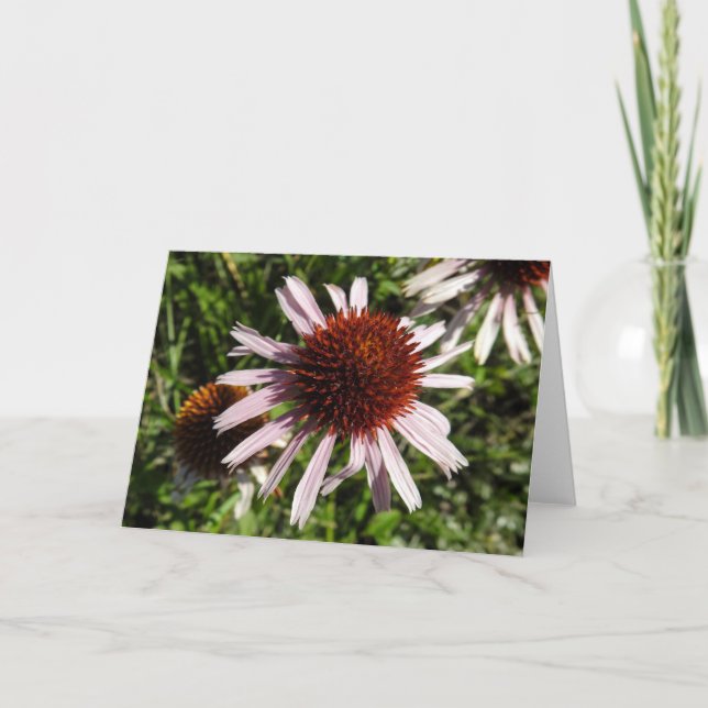 Cartão Purple Coneflower Notecard (Frente)