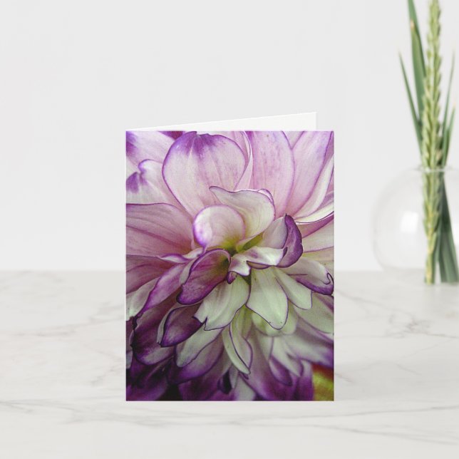 Cartão Purple Dahlia Blank Notecard (Frente)
