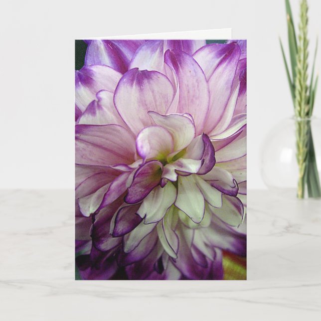 Cartão Purple Dahlia Design Blank Notecard (Frente)
