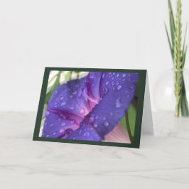 Cartão Purple Dewdrop Morning Glory Blank