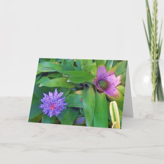 Cartão Purple Exotic Blossom Plant Greeting Card (Frente)