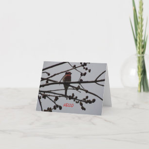 Cartão Purple Finch, Bright and Cheery