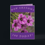 Cartão Purple Floral 100th Birthday Card for Grandma<br><div class="desc">Beautiful purple cranesbill geranium flowers make a great image for this colourful 100th birthday card for Grandma.  All text can easily be personalised.</div>