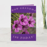 Cartão Purple Floral 100th Birthday Card for Grandma<br><div class="desc">Beautiful purple cranesbill geranium flowers make a great image for this colourful 100th birthday card for Grandma.  All text can easily be personalised.</div>