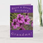 Cartão Purple Floral Birthday Card for Grandma<br><div class="desc">Beautiful purple cranesbill geranium flowers make a great image for this colourful birthday card for Grandma.  All text can easily be personalised.</div>