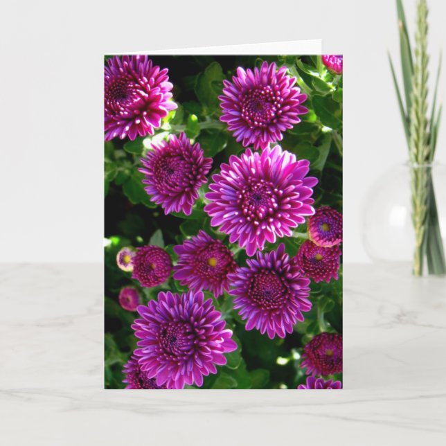 Cartão Purple flowers (Frente)