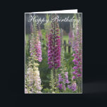 Cartão Purple foxgloves ...  card<br><div class="desc">Happy Birthday card. Purple Foxglove flowers in a cottage garden Sand Designs Say it with Flowers collection. Bold purple flowers in soft subtle shades of purple and pink. A beautiful greetings card to customise with your own personal message. Perfect card for mum, mother, Gran, Grandma, anniversary, on their birthday or...</div>