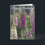 Cartão Purple foxgloves ...  card<br><div class="desc">Happy Birthday card. Purple Foxglove flowers in a cottage garden Sand Designs Say it with Flowers collection. Bold purple flowers in soft subtle shades of purple and pink. A beautiful greetings card to customise with your own personal message. Perfect card for mum, mother, Gran, Grandma, anniversary, on their birthday or...</div>