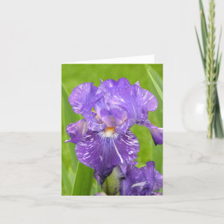Cartão Purple Iris