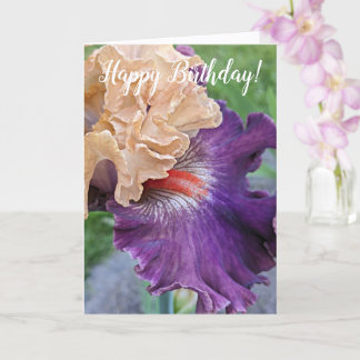 Cartão Purple Iris Bloom Floral Birthday