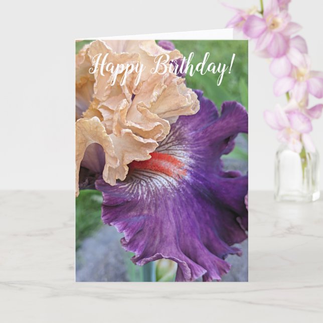 Cartão Purple Iris Bloom Floral Birthday (Orquídea)