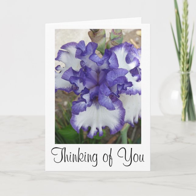 Cartão Purple Iris Flower Card, Thinking of You (Frente)
