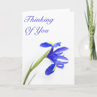 Cartão Purple Iris Flower Thinking of You Card