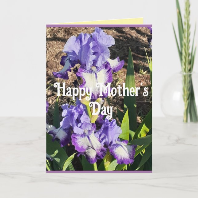Cartão Purple Iris Irises Flower floral Mothers Day Card (Frente)