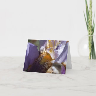 Cartão Purple Iris Note Card