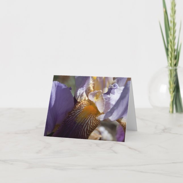 Cartão Purple Iris Note Card (Frente)