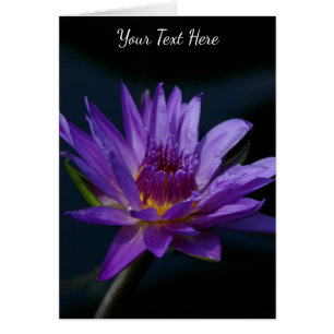 Cartão Purple Lotus Waterlily