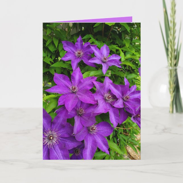 Cartão Purple Lupines Floral Keeping in Touch Blank (Frente)