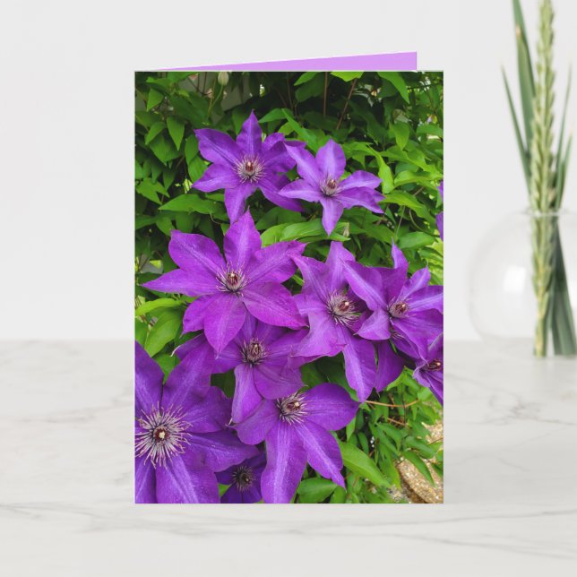 Cartão Purple Lupines Floral Thinking of You (Frente)