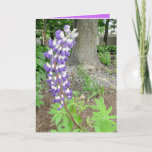 Cartão Purple Lupines Happy Birthday Mom<br><div class="desc">Pretty purple flowers,  Lupines,   happy birthday mom card. You can switch family member os add a different name in the personaliaze area</div>