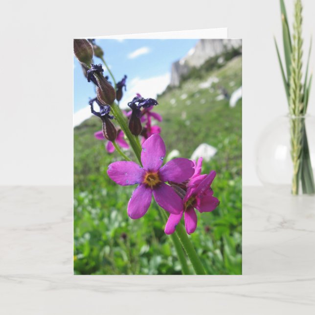 Cartão Purple Mountain Wildflower Note Card (Frente)