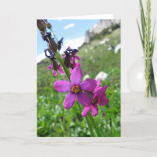 Cartão Purple Mountain Wildflower Note Card