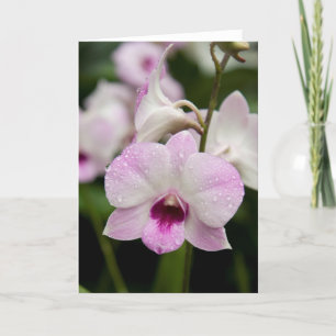 Cartão Purple Orchid Blank Card