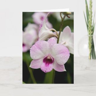 Cartão Purple Orchid Blank Card