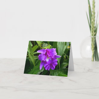 Cartão Purple Orchid w Leaves Note Card