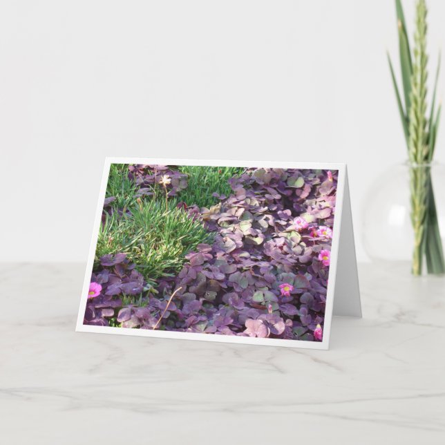 Cartão Purple Pansies (Frente)