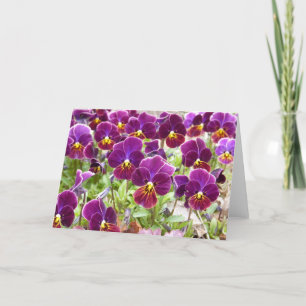 Cartão Purple Pansies
