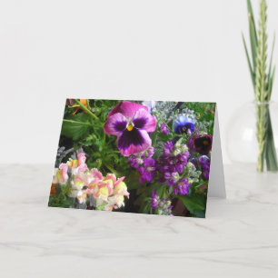 Cartão Purple pansy and friends