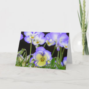 Cartão Purple Pansy Card