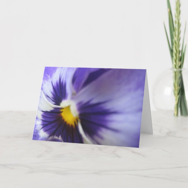 Cartão Purple pansy greeting card (Frente)