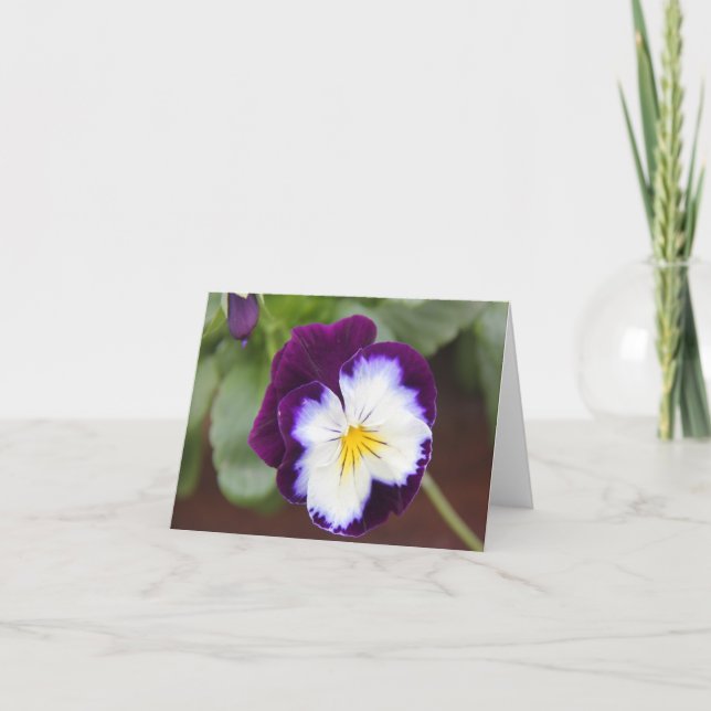 Cartão Purple Pansy Note Cards, blank inside (Frente)