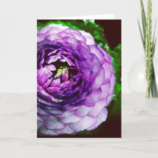 Cartão Purple Ranunculus Blank Greeting Card