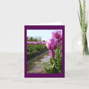 Cartão Purple Tulip Fields & Reflections