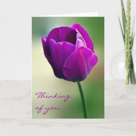 Cartão Purple Tulip Thinking of you Card